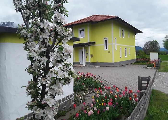 Apartments Steger